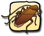 ม้าแลงสาบ